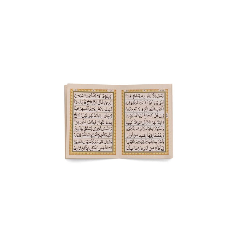 Surah Yaseen (Arabic) |Pocket size (Indo Pak script)