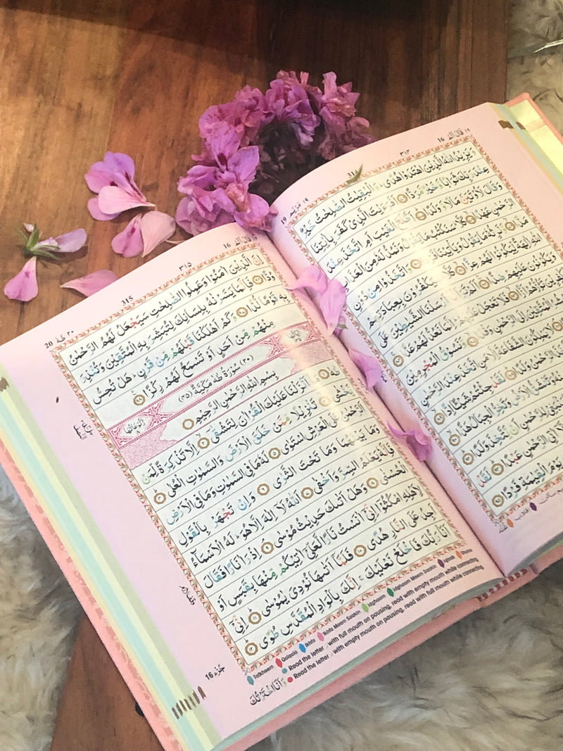 The Holy Quran (15 line)Tajweed Quran (Indo-Pak) | Pink