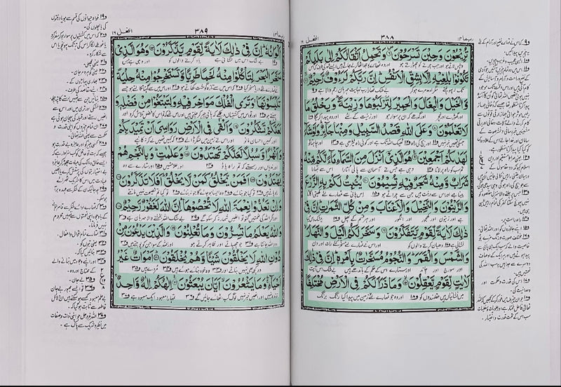 Urdu Quran with Urdu Translation and Urdu Tafseer | Large Size