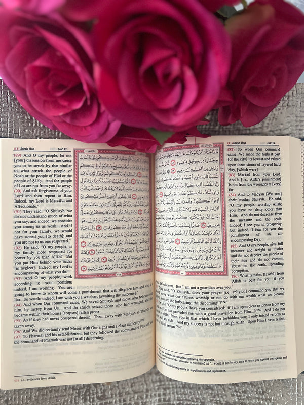 The Quran (Meanings and Notes by Sahih International)